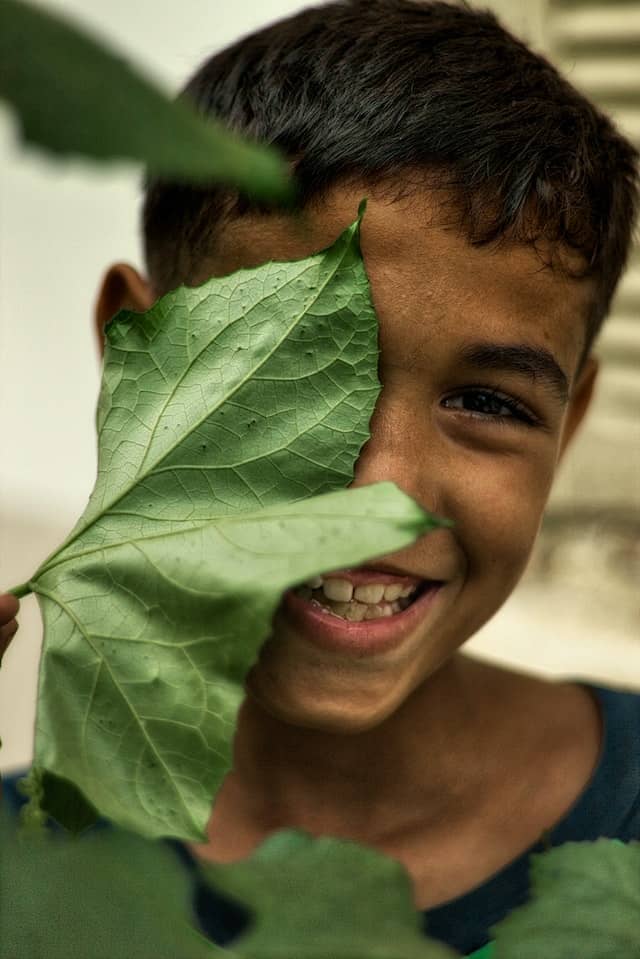 Leaf covering smiling boy face